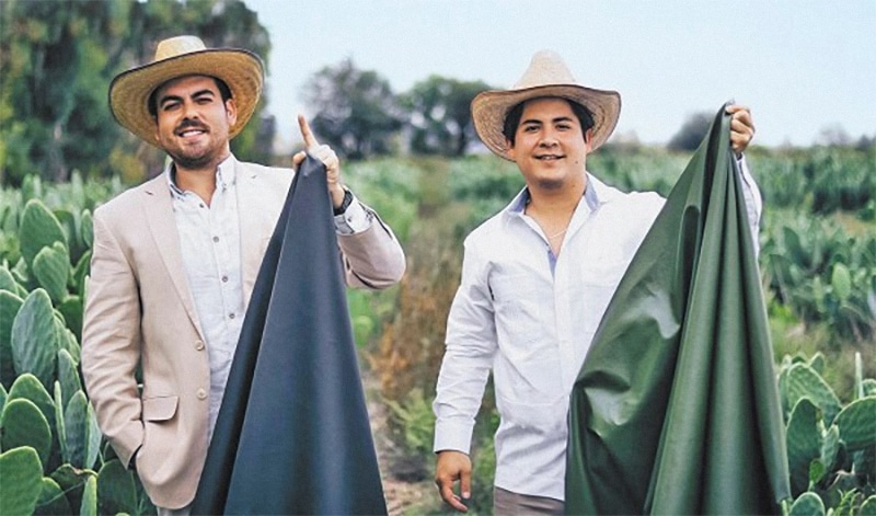 Read more about the article Mexico: Two Young Men Create Sustainable Leather from Mexican Cactus (video)