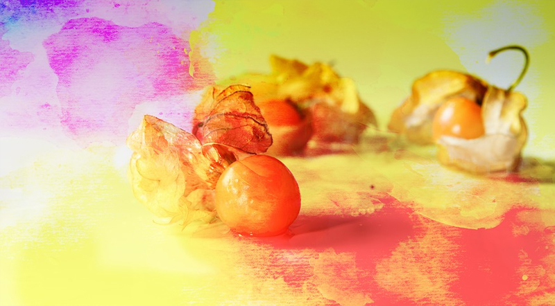 Read more about the article How To Make Watercolors And Dyes With Fruit, Vegetables And Flowers!