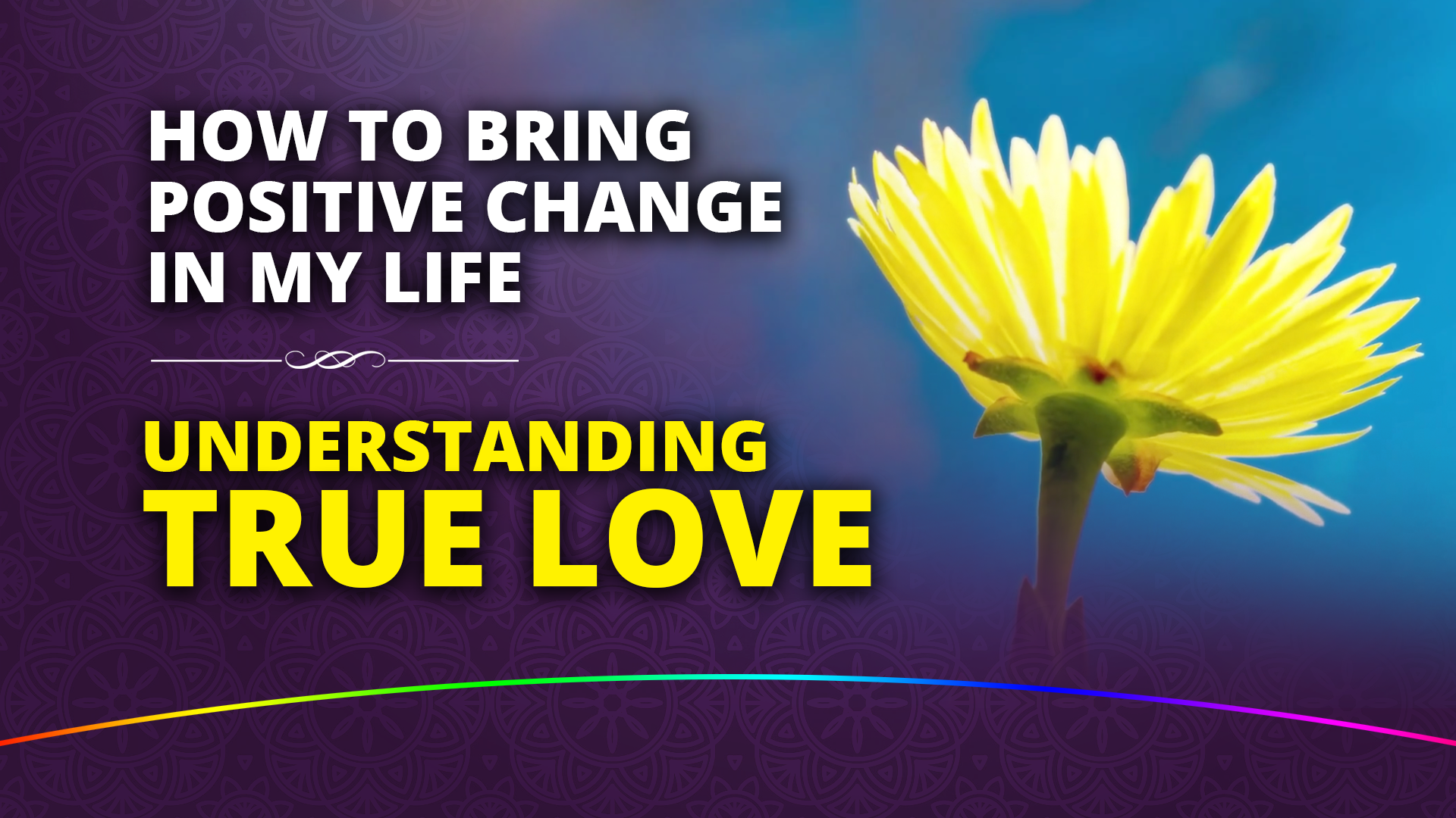 Read more about the article True Love – A Recipe For Evolution (Video)